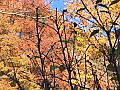 秋の空の写真２